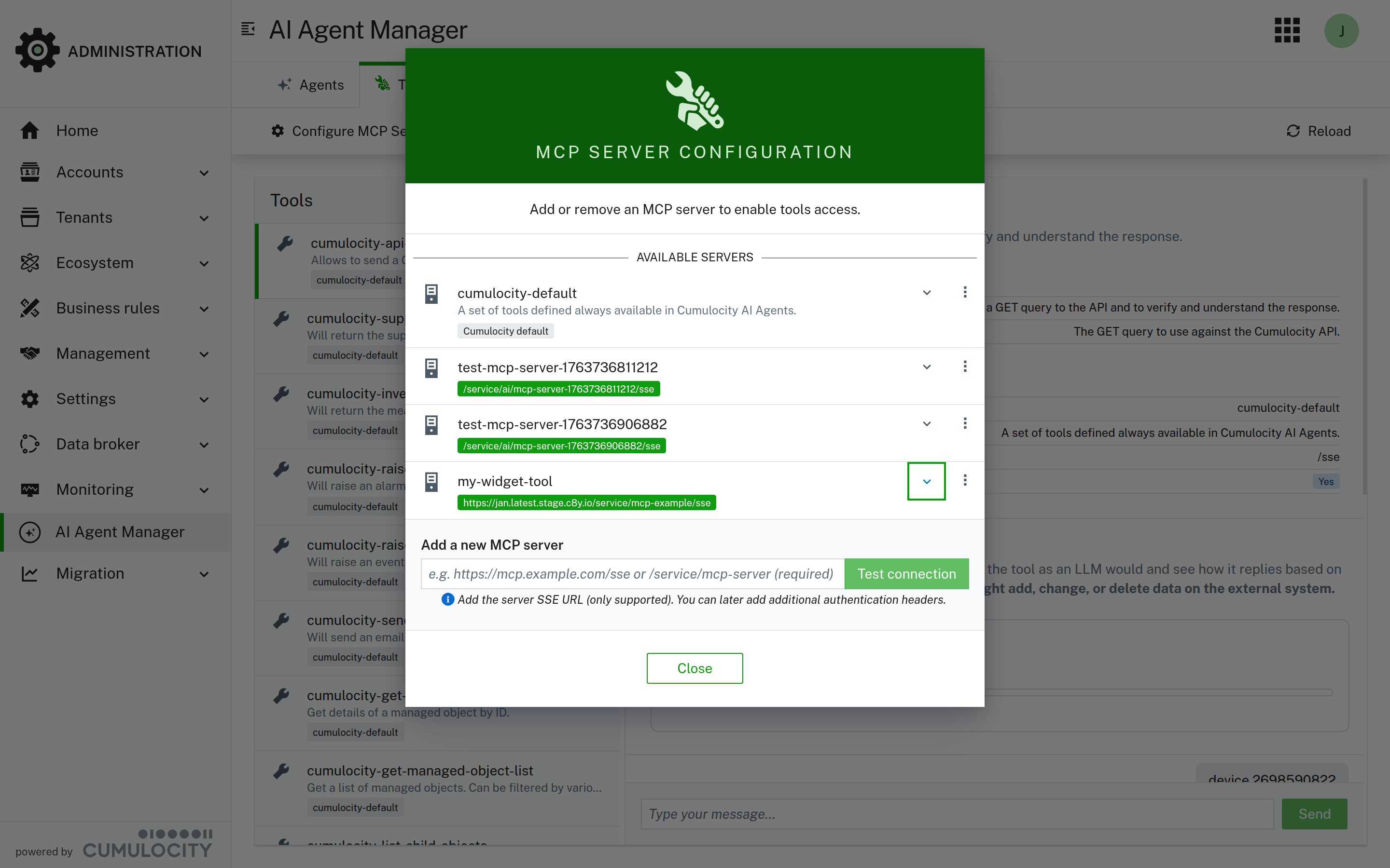 The MCP Server configuration view list all configured servers
